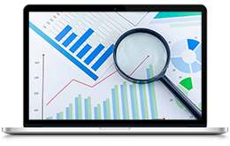 Get Business Reports As You Need